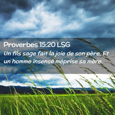 Picture 02 - Proverbes 15:20 LSG - Un fils sage fait la joie de son père, Et un - Bible Verse Picture