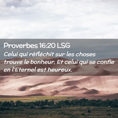 Picture 02 - Proverbes 16:20 LSG - Celui qui réfléchit sur les choses trouve le - Bible Verse Picture