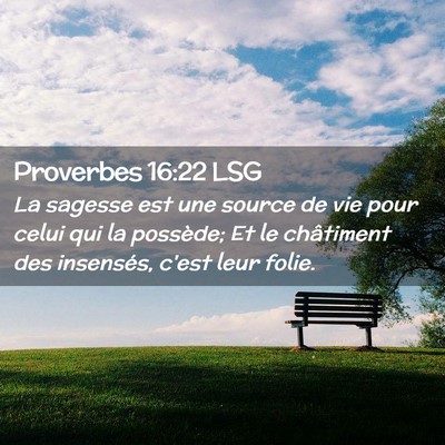 Picture 02 - Proverbes 16:22 LSG - La sagesse est une source de vie pour celui qui - Bible Verse Picture
