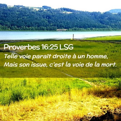 Picture 02 - Proverbes 16:25 LSG - Telle voie paraît droite à un homme, Mais son - Bible Verse Picture