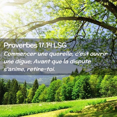 Picture 02 - Proverbes 17:14 LSG - Commencer une querelle, c'est ouvrir une digue; - Bible Verse Picture