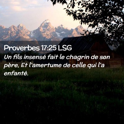 Picture 02 - Proverbes 17:25 LSG - Un fils insensé fait le chagrin de son père, Et - Bible Verse Picture