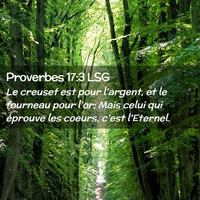 Picture 02 - Proverbes 17:3 LSG - Le creuset est pour l'argent, et le fourneau pour - Bible Verse Picture