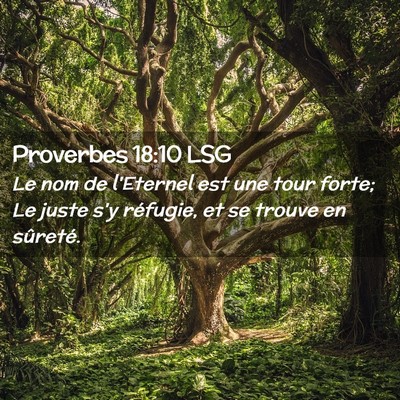 Picture 02 - Proverbes 18:10 LSG - Le nom de l'Eternel est une tour forte; Le juste - Bible Verse Picture