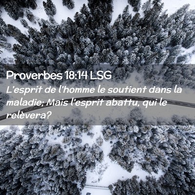 Picture 02 - Proverbes 18:14 LSG - L'esprit de l'homme le soutient dans la maladie; - Bible Verse Picture