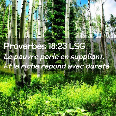 Picture 02 - Proverbes 18:23 LSG - Le pauvre parle en suppliant, Et le riche répond - Bible Verse Picture
