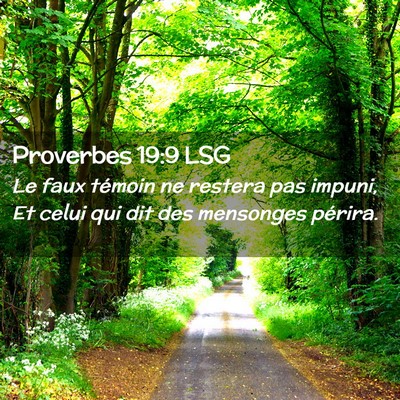 Picture 02 - Proverbes 19:9 LSG - Le faux témoin ne restera pas impuni, Et celui - Bible Verse Picture