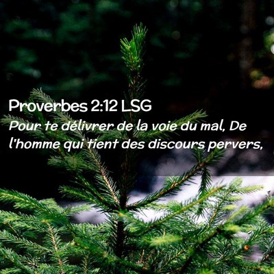 Picture 02 - Proverbes 2:12 LSG - Pour te délivrer de la voie du mal, De l'homme - Bible Verse Picture