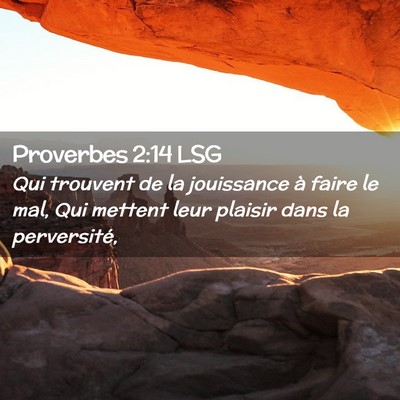 Picture 02 - Proverbes 2:14 LSG - Qui trouvent de la jouissance à faire le mal, - Bible Verse Picture