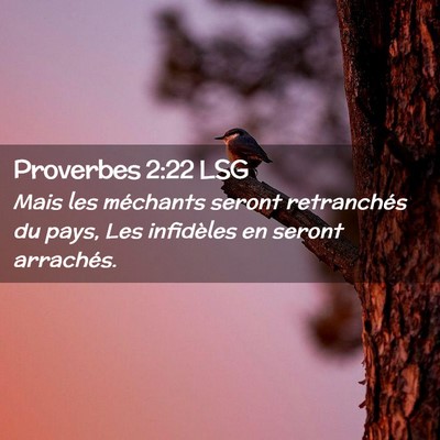 Picture 02 - Proverbes 2:22 LSG - Mais les méchants seront retranchés du pays, - Bible Verse Picture
