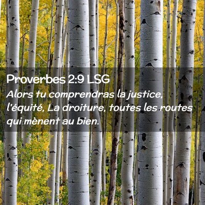 Picture 02 - Proverbes 2:9 LSG - Alors tu comprendras la justice, l'équité, La - Bible Verse Picture