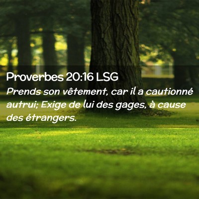 Picture 02 - Proverbes 20:16 LSG - Prends son vêtement, car il a cautionné autrui; - Bible Verse Picture