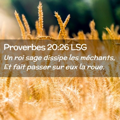 Picture 02 - Proverbes 20:26 LSG - Un roi sage dissipe les méchants, Et fait passer - Bible Verse Picture
