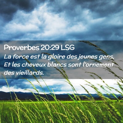 Picture 02 - Proverbes 20:29 LSG - La force est la gloire des jeunes gens, Et les - Bible Verse Picture