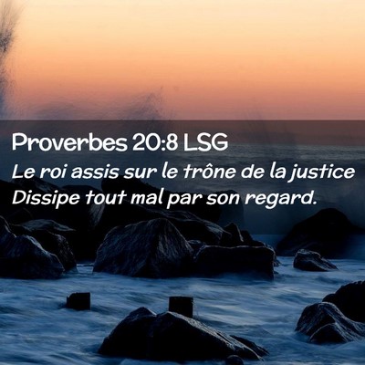 Picture 02 - Proverbes 20:8 LSG - Le roi assis sur le trône de la justice Dissipe - Bible Verse Picture
