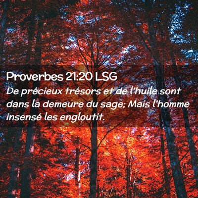 Picture 02 - Proverbes 21:20 LSG - De précieux trésors et de l'huile sont dans la - Bible Verse Picture