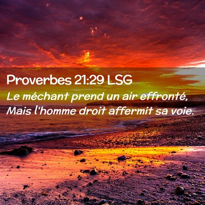Picture 02 - Proverbes 21:29 LSG - Le méchant prend un air effronté, Mais l'homme - Bible Verse Picture