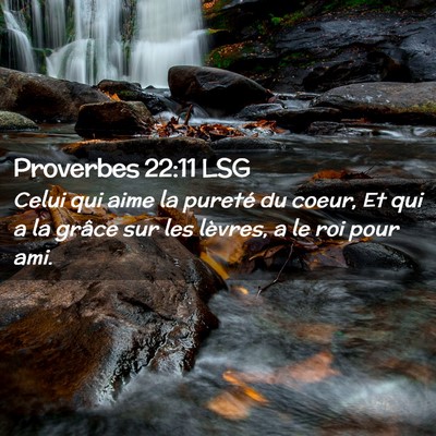 Picture 02 - Proverbes 22:11 LSG - Celui qui aime la pureté du coeur, Et qui a la - Bible Verse Picture