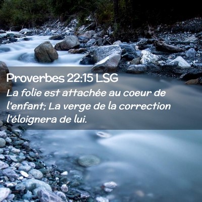 Picture 02 - Proverbes 22:15 LSG - La folie est attachée au coeur de l'enfant; La - Bible Verse Picture