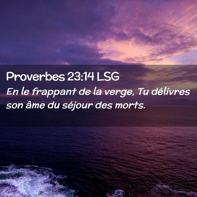 Picture 02 - Proverbes 23:14 LSG - En le frappant de la verge, Tu délivres son âme - Bible Verse Picture