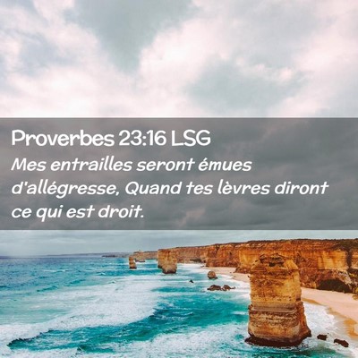 Picture 02 - Proverbes 23:16 LSG - Mes entrailles seront émues d'allégresse, Quand - Bible Verse Picture
