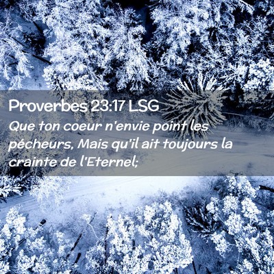 Picture 02 - Proverbes 23:17 LSG - Que ton coeur n'envie point les pécheurs, Mais - Bible Verse Picture