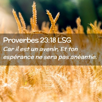 Picture 02 - Proverbes 23:18 LSG - Car il est un avenir, Et ton espérance ne sera - Bible Verse Picture
