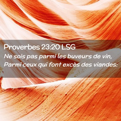 Picture 02 - Proverbes 23:20 LSG - Ne sois pas parmi les buveurs de vin, Parmi ceux - Bible Verse Picture