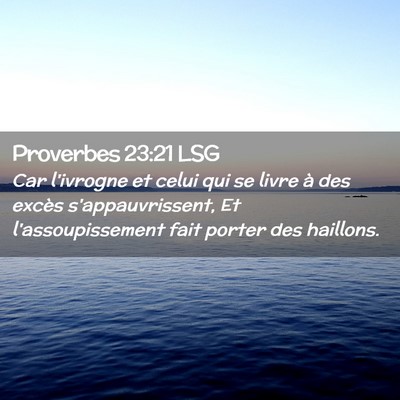 Picture 02 - Proverbes 23:21 LSG - Car l'ivrogne et celui qui se livre à des excès - Bible Verse Picture