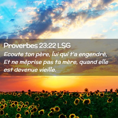 Picture 02 - Proverbes 23:22 LSG - Ecoute ton père, lui qui t'a engendré, Et ne - Bible Verse Picture