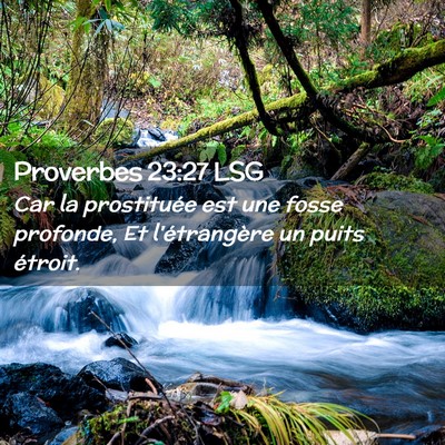 Picture 02 - Proverbes 23:27 LSG - Car la prostituée est une fosse profonde, Et - Bible Verse Picture