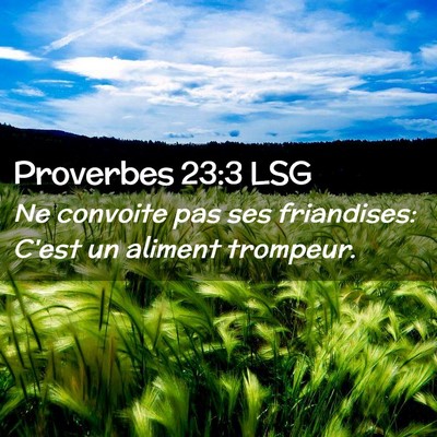 Picture 02 - Proverbes 23:3 LSG - Ne convoite pas ses friandises: C'est un aliment - Bible Verse Picture