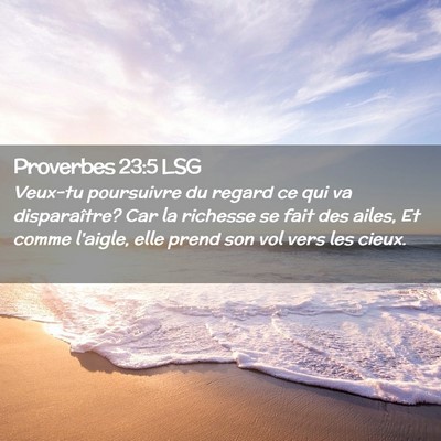 Picture 02 - Proverbes 23:5 LSG - Veux-tu poursuivre du regard ce qui va - Bible Verse Picture