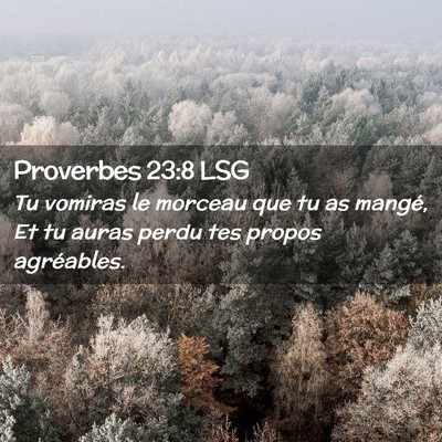 Picture 02 - Proverbes 23:8 LSG - Tu vomiras le morceau que tu as mangé, Et tu - Bible Verse Picture