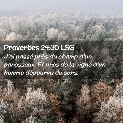 Picture 02 - Proverbes 24:30 LSG - J'ai passé près du champ d'un paresseux, Et - Bible Verse Picture