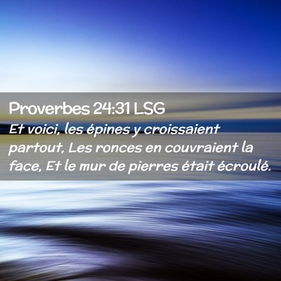 Picture 02 - Proverbes 24:31 LSG - Et voici, les épines y croissaient partout, Les - Bible Verse Picture
