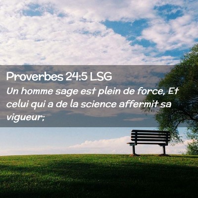 Picture 02 - Proverbes 24:5 LSG - Un homme sage est plein de force, Et celui qui a - Bible Verse Picture