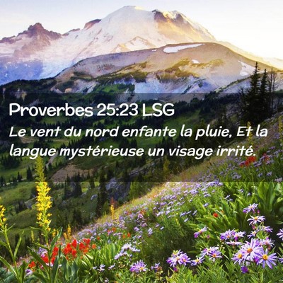 Picture 02 - Proverbes 25:23 LSG - Le vent du nord enfante la pluie, Et la langue - Bible Verse Picture