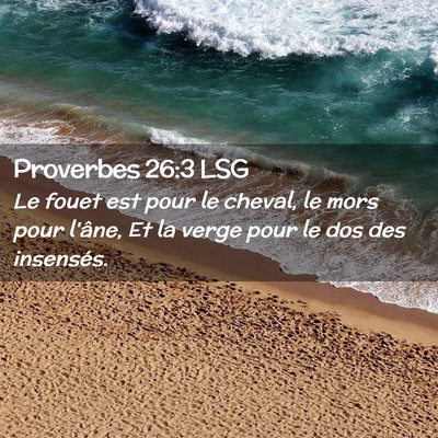 Picture 02 - Proverbes 26:3 LSG - Le fouet est pour le cheval, le mors pour l'âne, - Bible Verse Picture