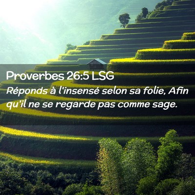 Picture 02 - Proverbes 26:5 LSG - Réponds à l'insensé selon sa folie, Afin qu'il - Bible Verse Picture