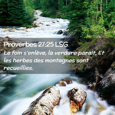 Picture 02 - Proverbes 27:25 LSG - Le foin s'enlève, la verdure paraît, Et les - Bible Verse Picture