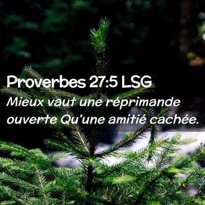 Picture 02 - Proverbes 27:5 LSG - Mieux vaut une réprimande ouverte Qu'une amitié - Bible Verse Picture