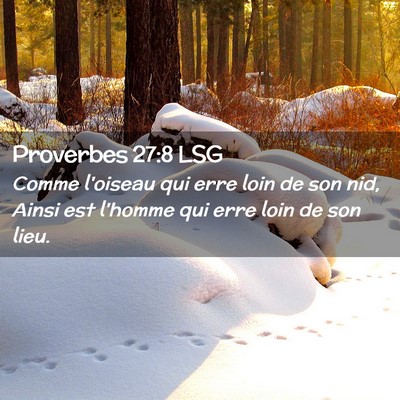 Picture 02 - Proverbes 27:8 LSG - Comme l'oiseau qui erre loin de son nid, Ainsi - Bible Verse Picture