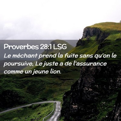 Picture 02 - Proverbes 28:1 LSG - Le méchant prend la fuite sans qu'on le - Bible Verse Picture