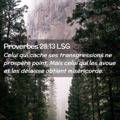 Picture 02 - Proverbes 28:13 LSG - Celui qui cache ses transgressions ne prospère - Bible Verse Picture