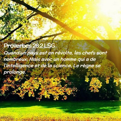 Picture 02 - Proverbes 28:2 LSG - Quand un pays est en révolte, les chefs sont - Bible Verse Picture