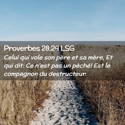 Picture 02 - Proverbes 28:24 LSG - Celui qui vole son père et sa mère, Et qui dit: - Bible Verse Picture