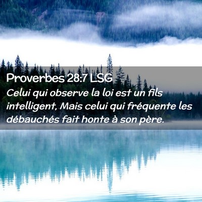 Picture 02 - Proverbes 28:7 LSG - Celui qui observe la loi est un fils intelligent, - Bible Verse Picture