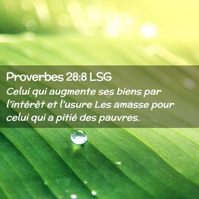Picture 02 - Proverbes 28:8 LSG - Celui qui augmente ses biens par l'intérêt et - Bible Verse Picture