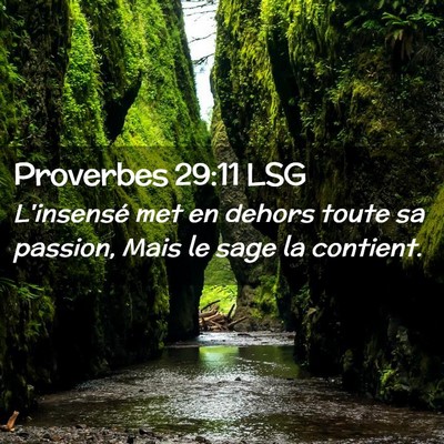Picture 02 - Proverbes 29:11 LSG - L'insensé met en dehors toute sa passion, Mais - Bible Verse Picture